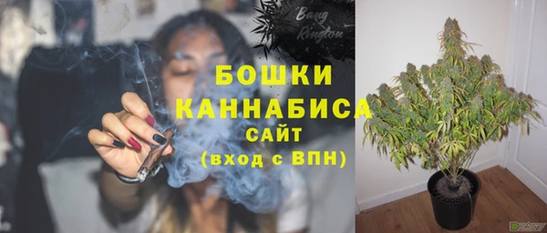 спиды Арсеньев