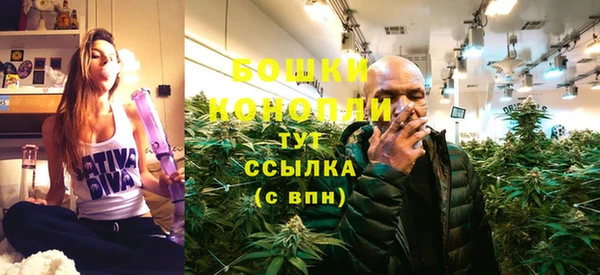 сатива Аркадак