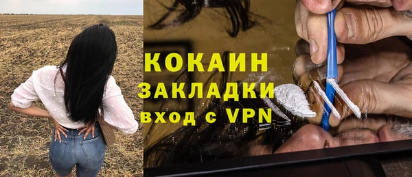 спиды Арсеньев