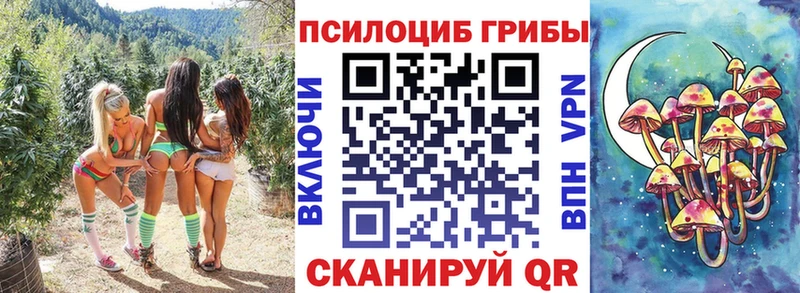 Галлюциногенные грибы Psilocybine cubensis  Купить  Талдом 